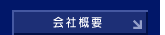 ЊTv